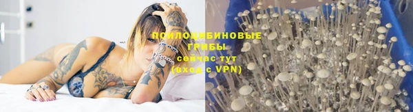 хмурый Бородино