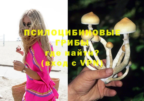 хмурый Бородино