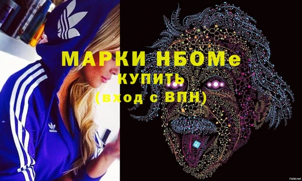 хмурый Бородино