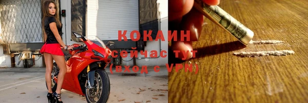 хмурый Бородино