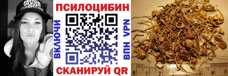 Купить где  Опочка  Галлюциногенные грибы мухоморы 