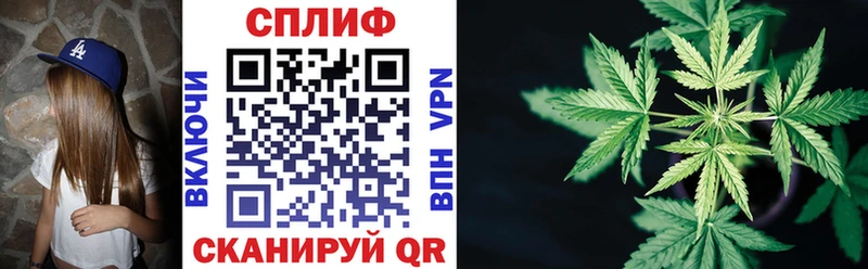 Купить закладки  Опочка  МАРИХУАНА тримм 